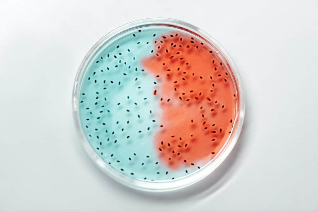 bacteria in water