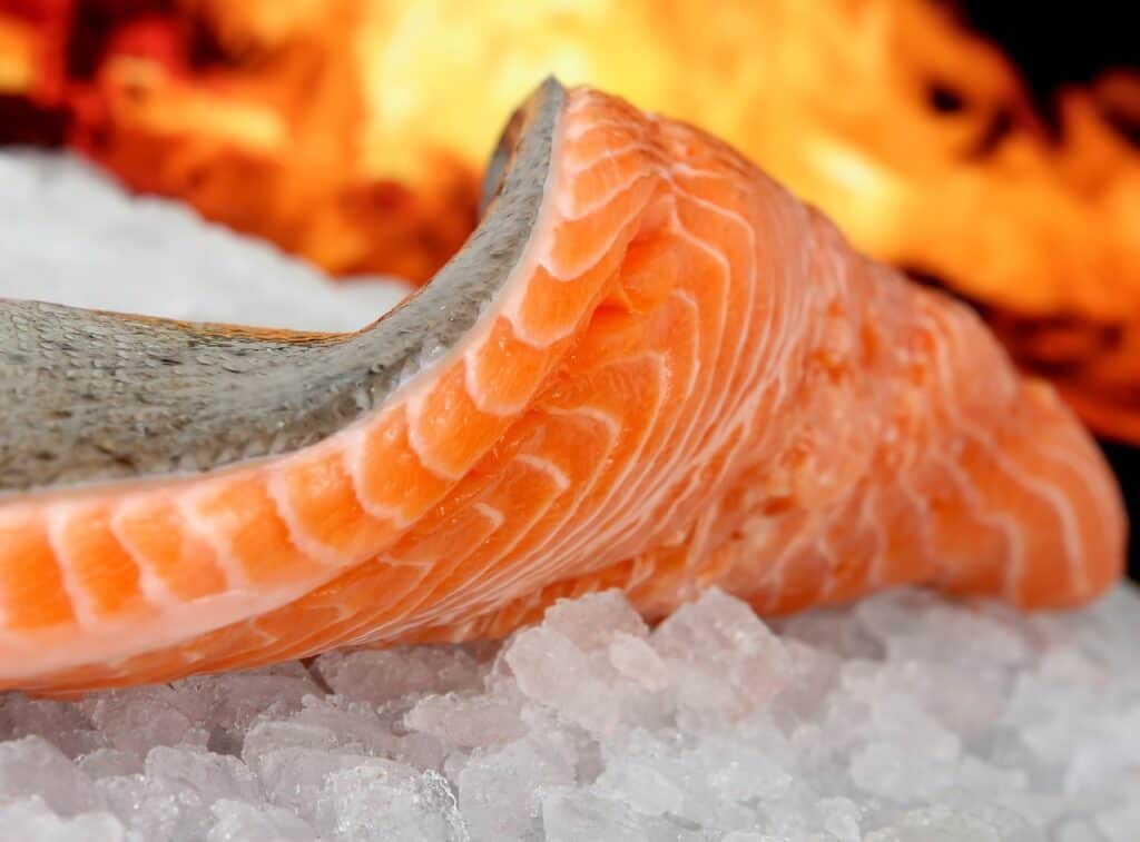 eating cold salmon